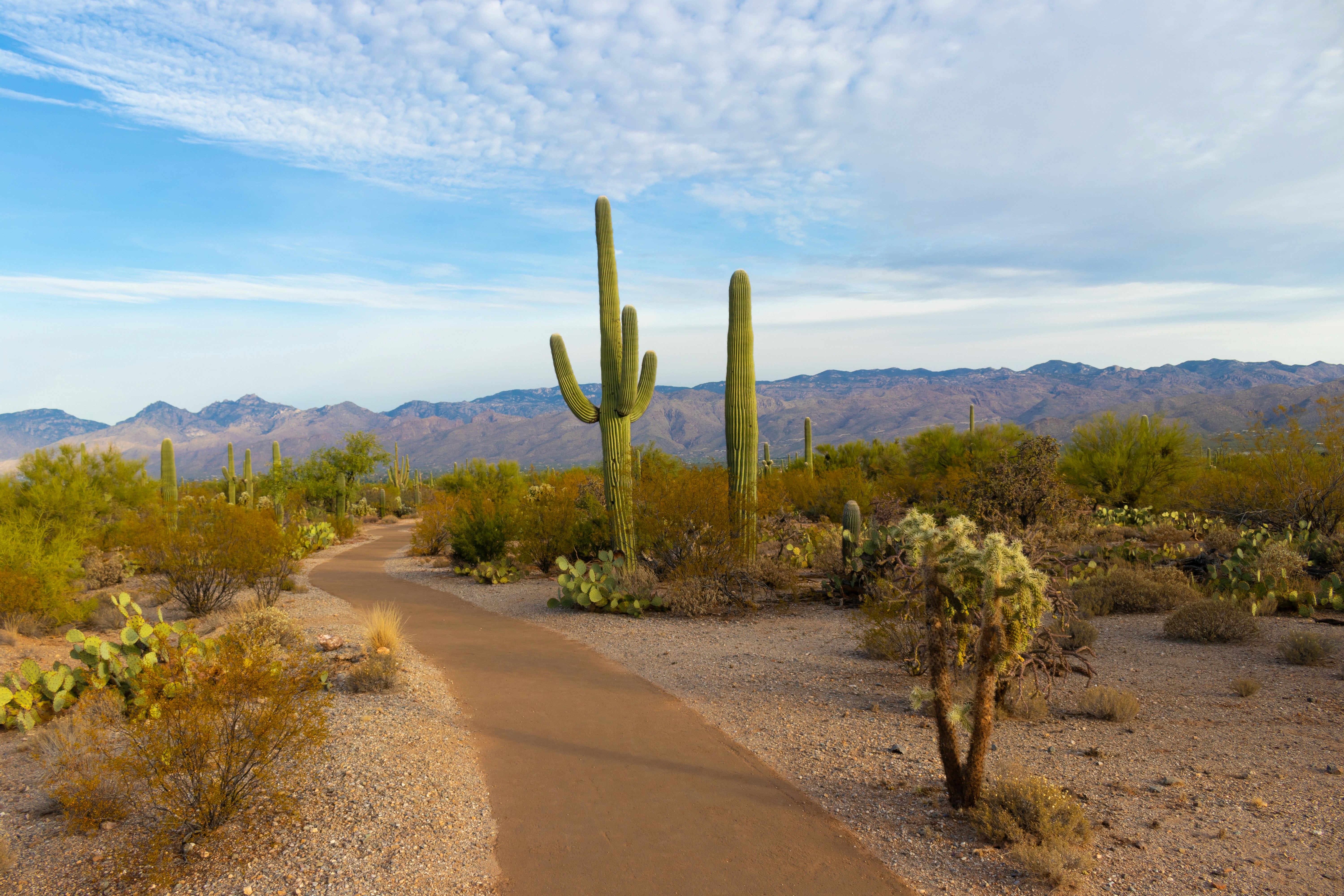 Tucson, Arizona